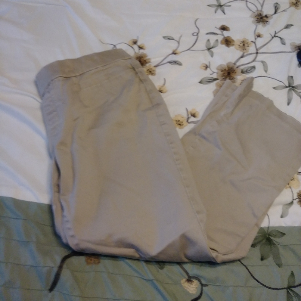 Dress pants
